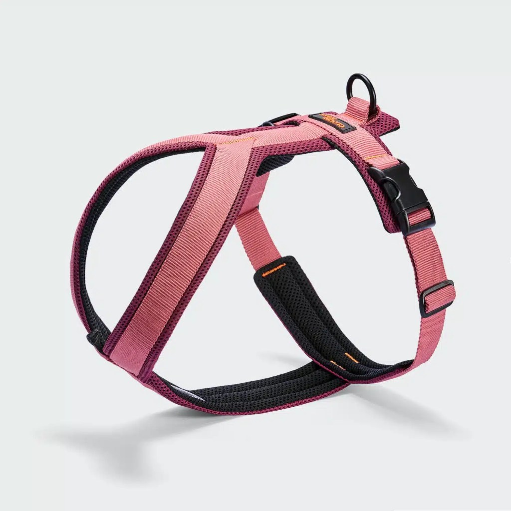 Harnais Y‑1 AKTIV Air-Mesh - Aubergine/Rose