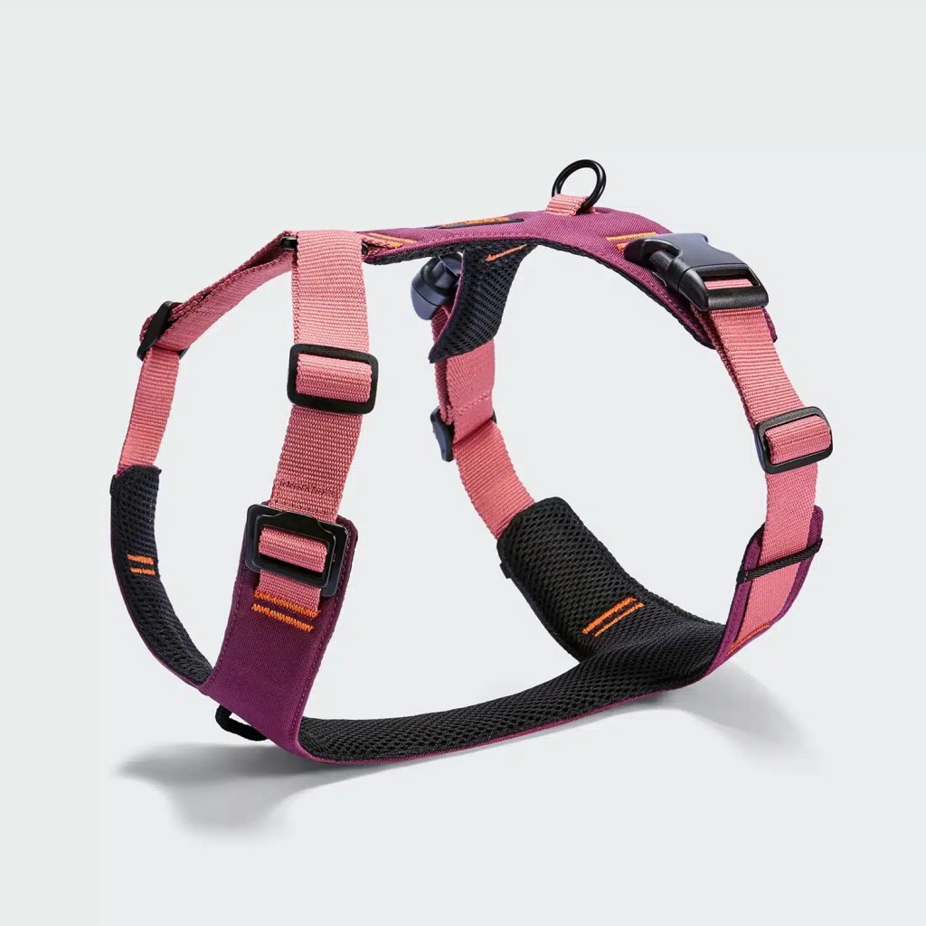 Harnais Y‑2 AKTIV Cordura - Aubergine/Rose