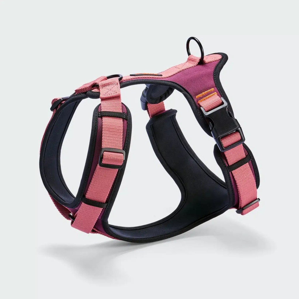 Harnais Y‑3 AKTIV Softshell - Aubergine/Rose